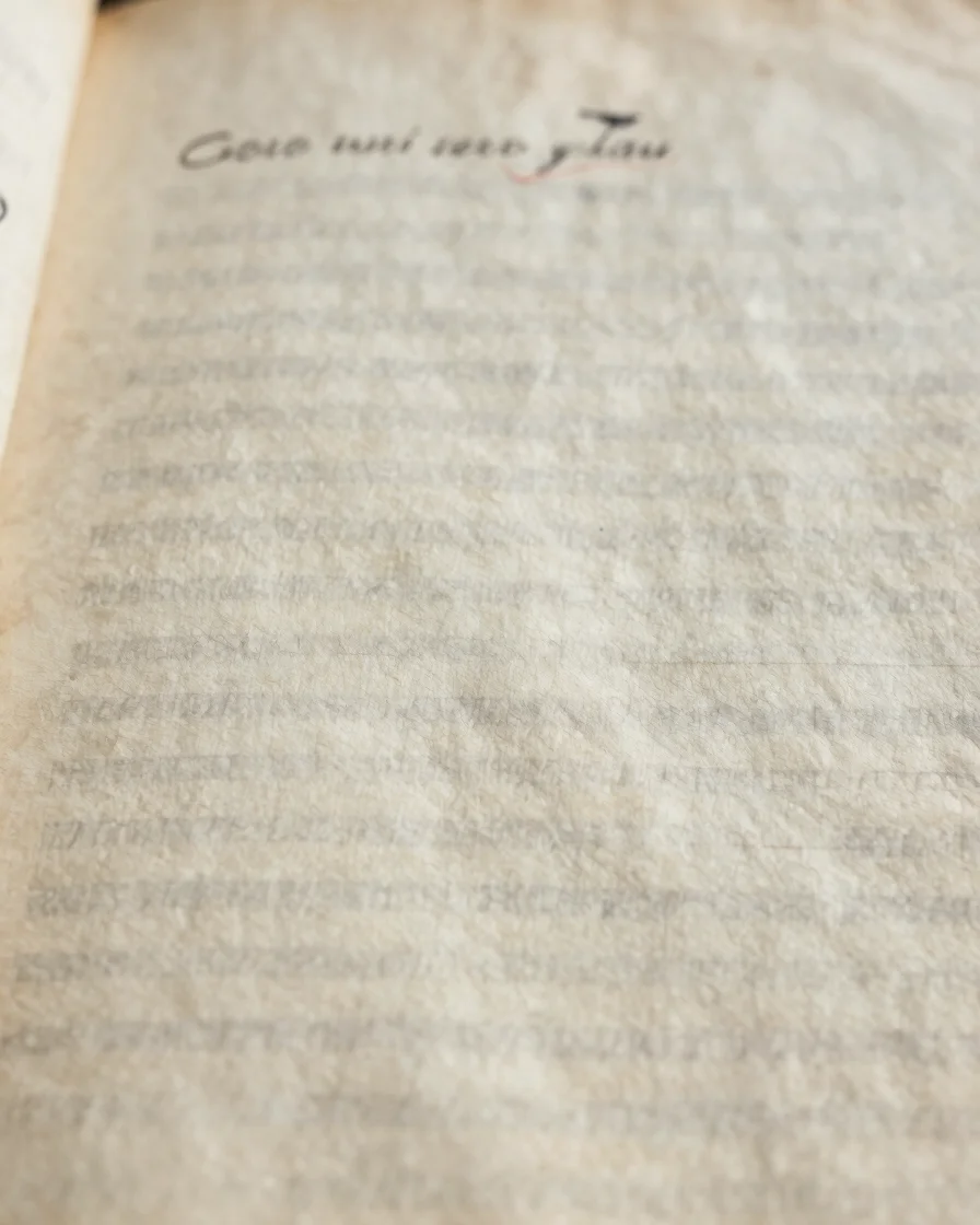 Precise close-up of an archival manuscript page under soft natura